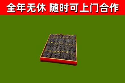 汉川市回收海参